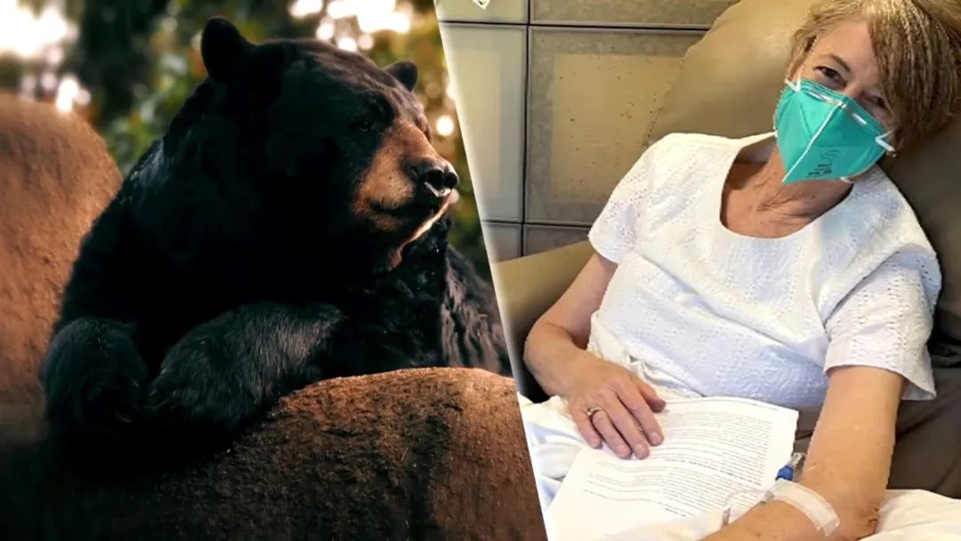 人熊大战！美国64岁女子因救狗与黑熊大打出手，结果熊被打跑了