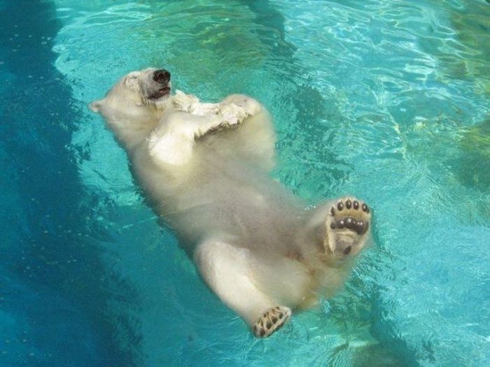 100个难得一见照片,难得一见12张照片