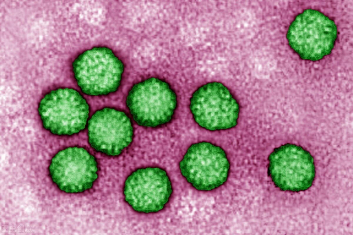 尖锐性湿疣应注意什么,尖锐性湿疣生活上要注意什么