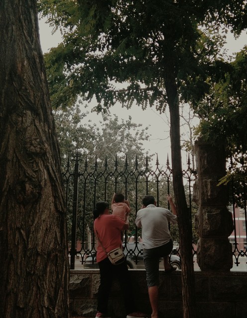 68岁老人坐火车事件,62岁老人坐火车