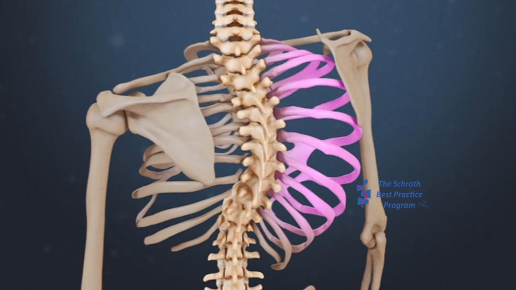 胸椎稍向右侧侧凸怎么矫正,儿童胸椎向右侧凸是什么意思