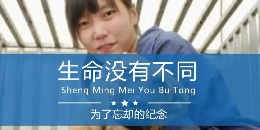 台湾女孩简稚澄,台湾女子给狗狗安乐死