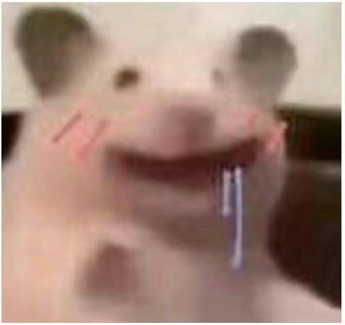 2022年度最佳电影排行榜,2022年top10电影