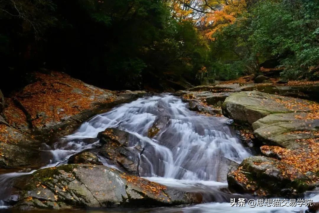 行情走势都在预判之内,如何把握行情走势