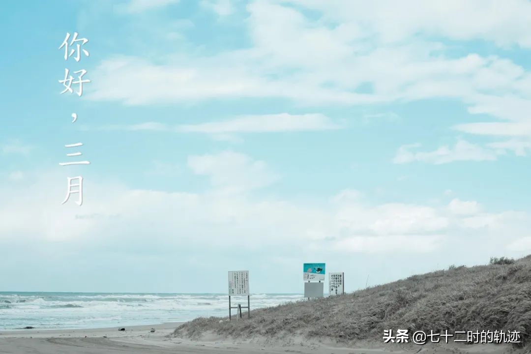 缤纷一色|灯与河川，三月人间