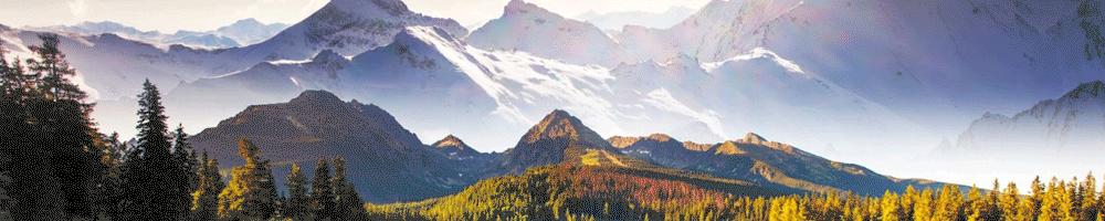 外企女高管退休金有多少,世界500强企业退休职工