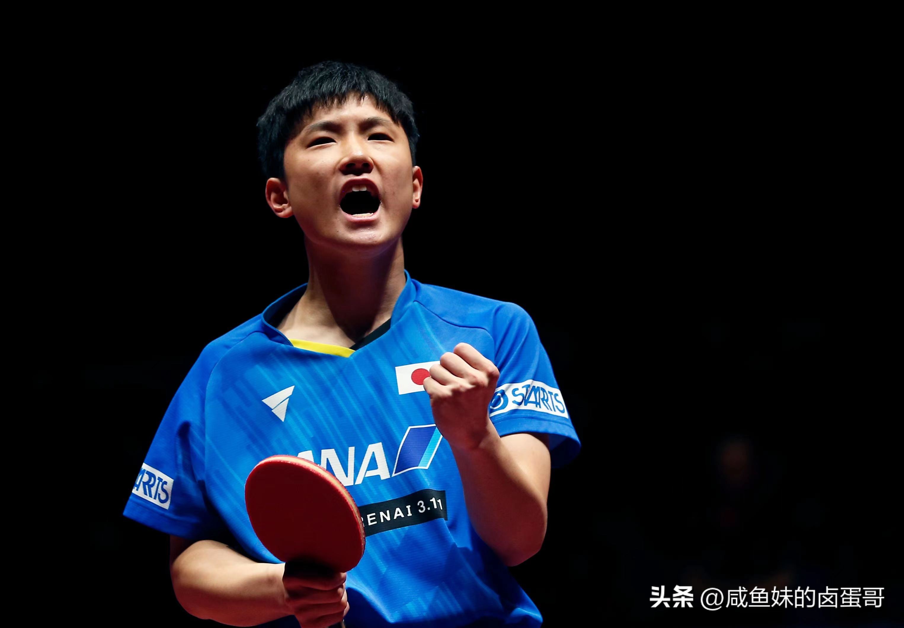 马龙率山东鲁能夺得乒超冠军,鲁能夺冠名单