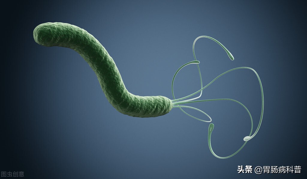 感染幽门螺杆菌的年轻人，要警惕胃壁变“鸡皮”，而且易癌变