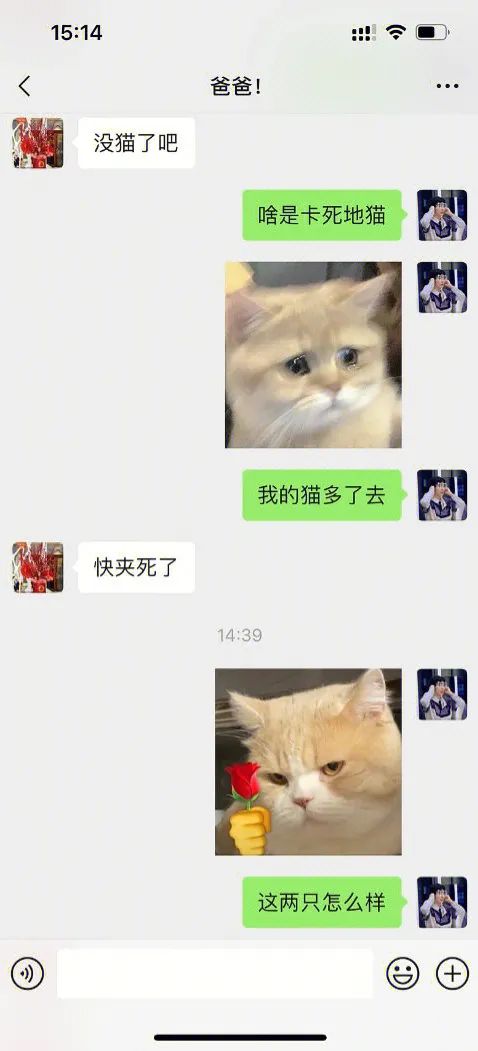 取名鬼才！狗婶子是想把谁笑死啊哈哈哈