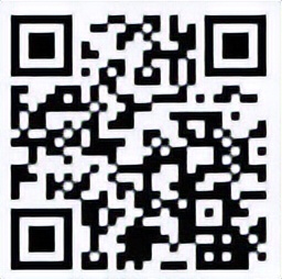 2023海拉尔草原迷笛音乐节,海拉尔迷笛音乐节8月