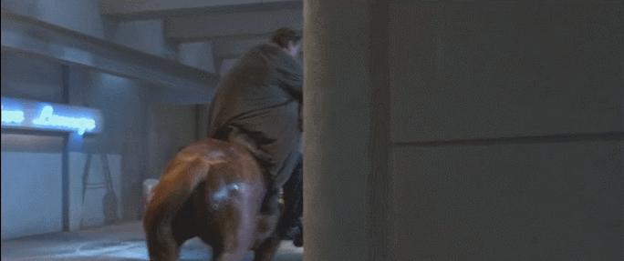 脱的再多，也是垃圾