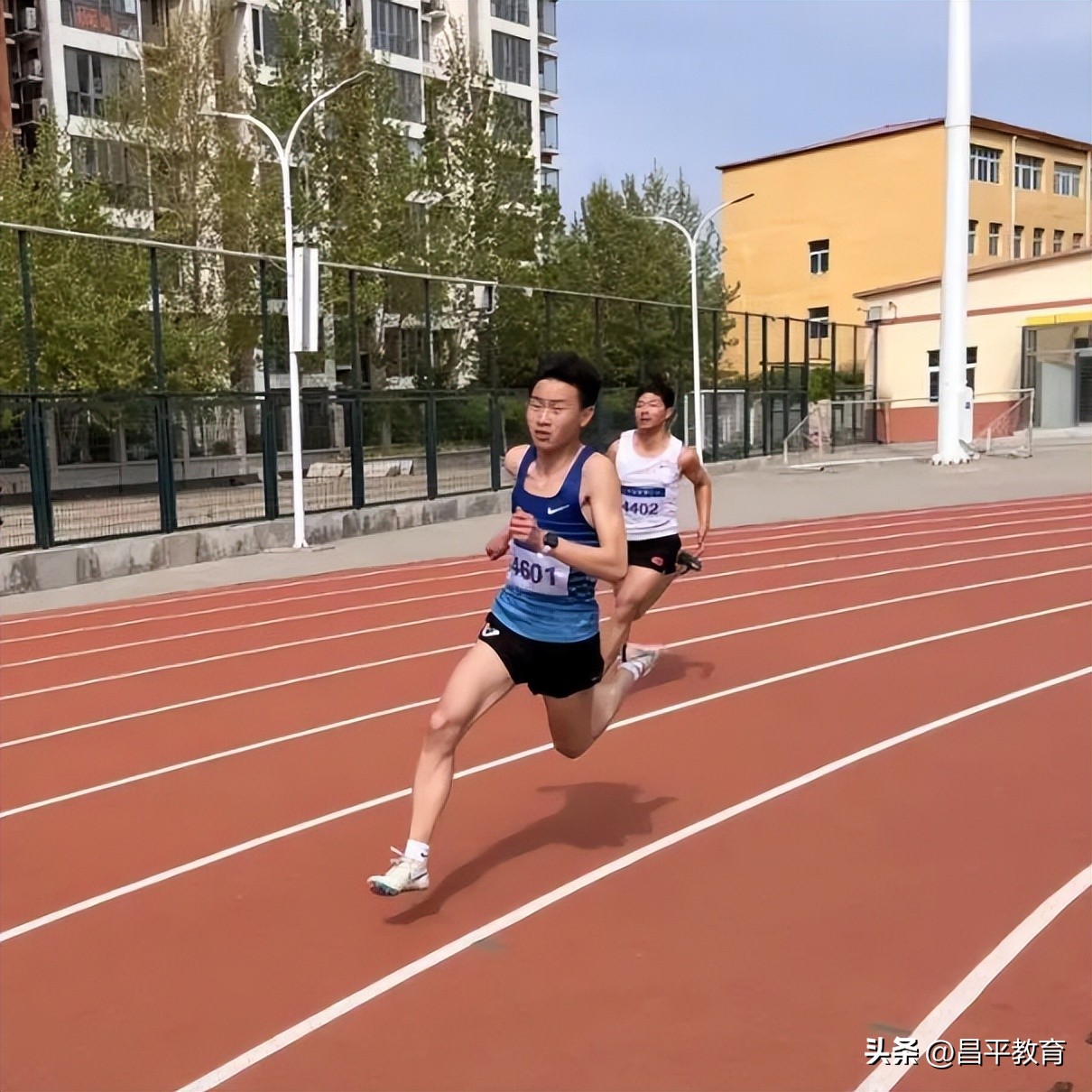 校园竞技体育的魅力,校园青春比赛