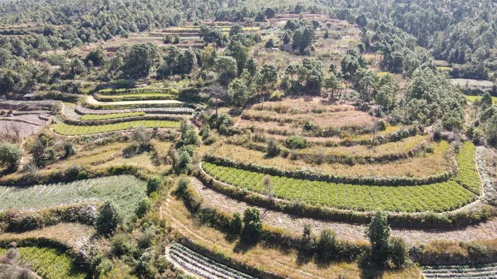 姜来可期什么意思,科技赋能姜来可期