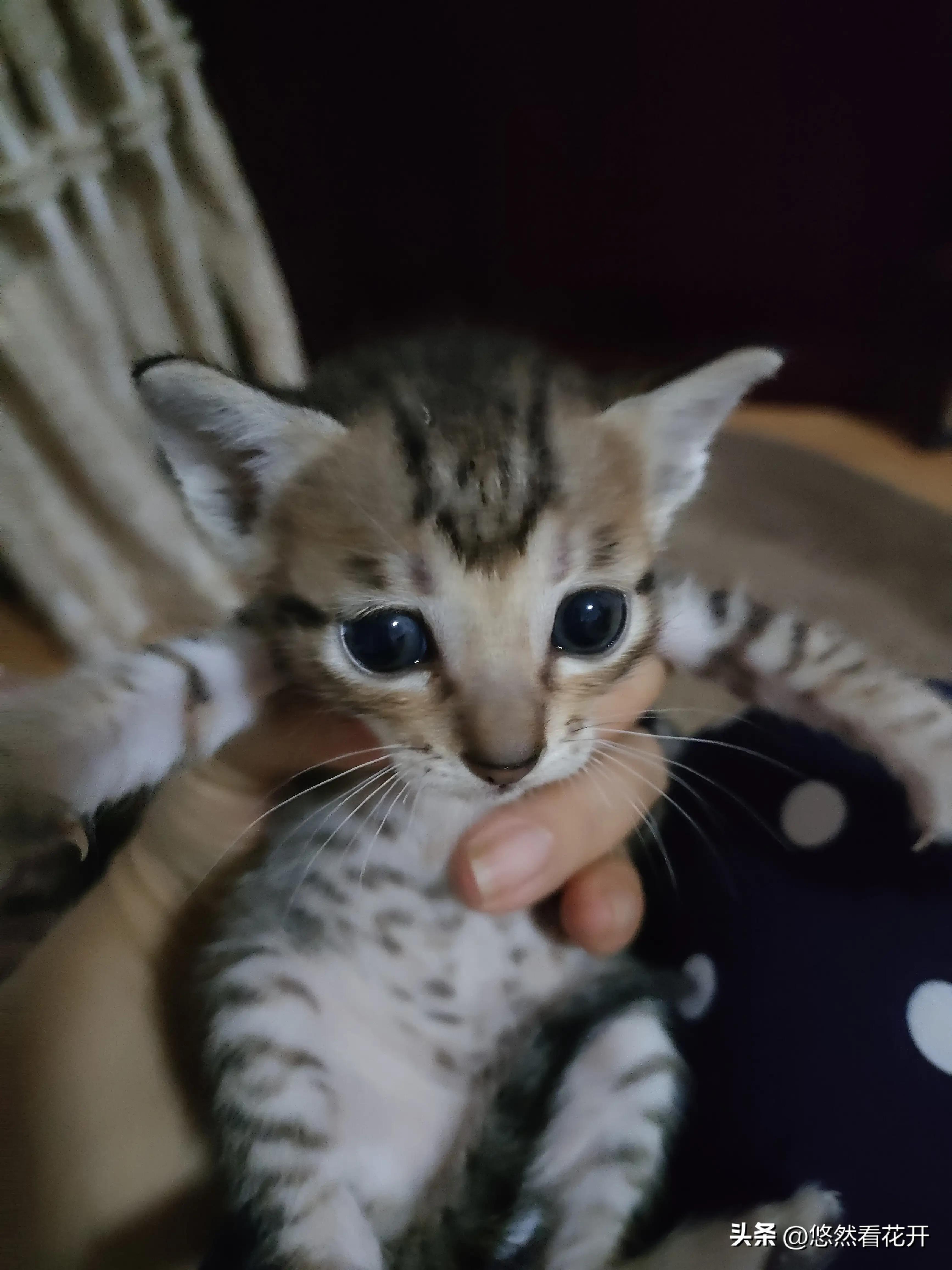 揪心的感觉是什么歌,揪心的感觉需要做什么检查