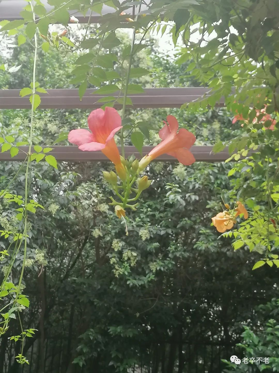 童年的回忆小卖部,童年的回忆钢琴