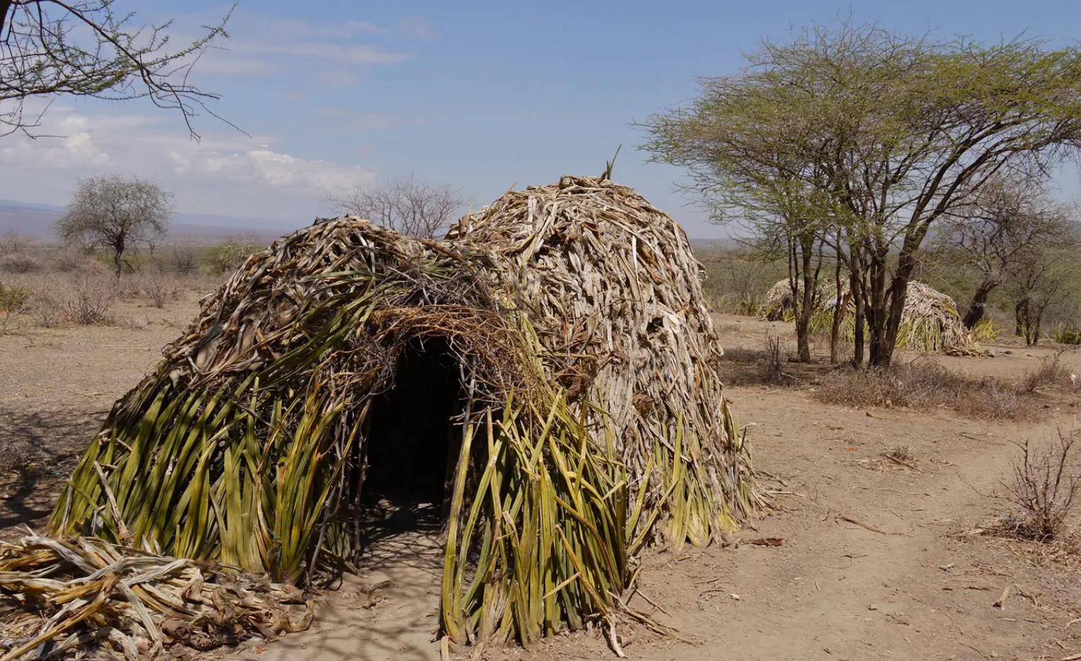 最可怕的朊病毒是什么,世界上最可怕的朊病毒