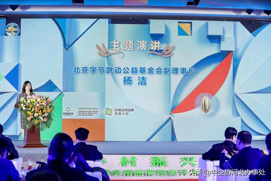 乡村振兴品牌计划和品牌盛典,乡村振兴品牌打造