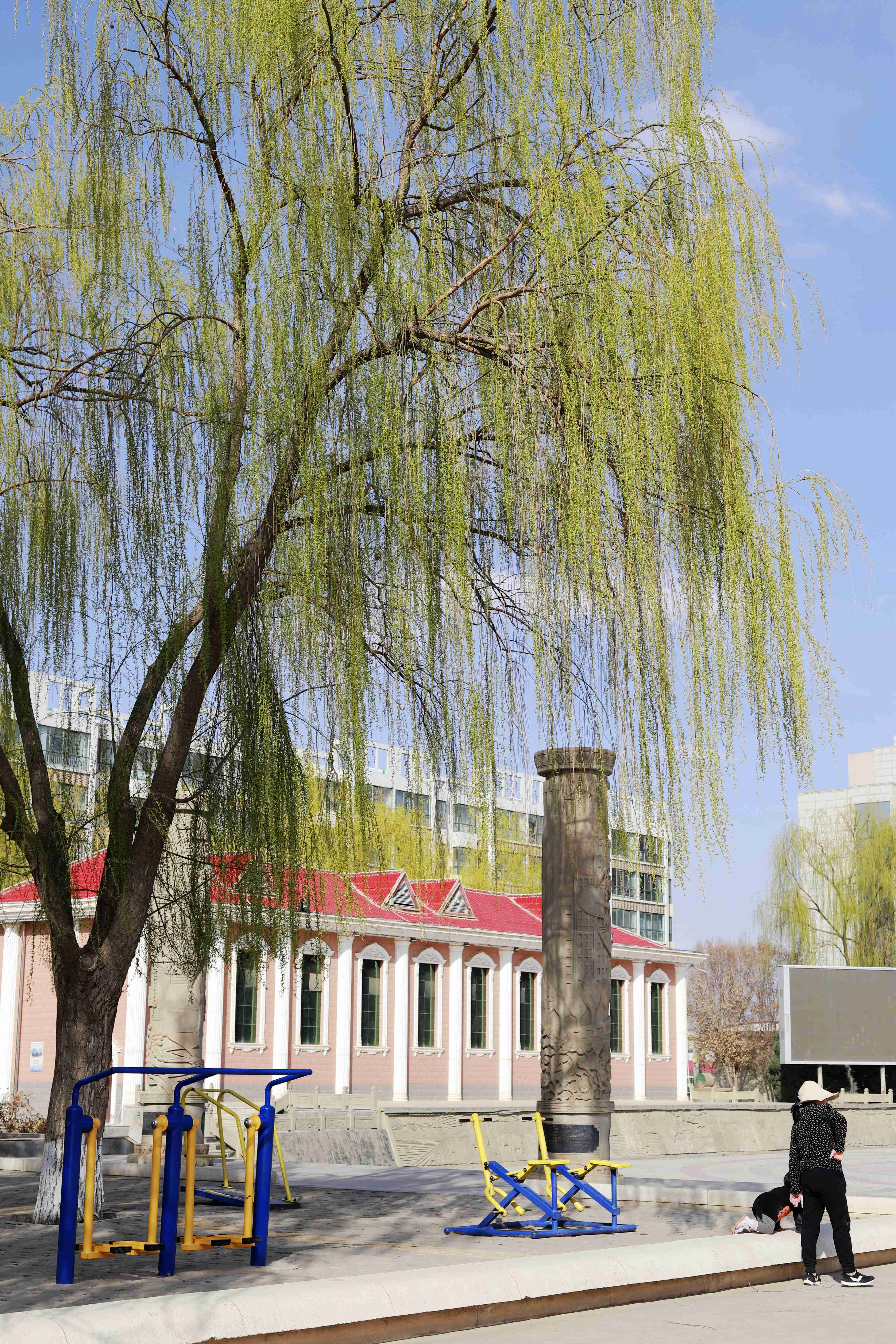 春风梳杨柳，条条碧玉妆