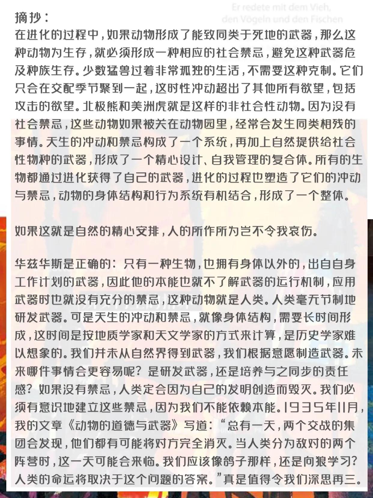所罗门王的指环在线读,所罗门王的指环读书交流