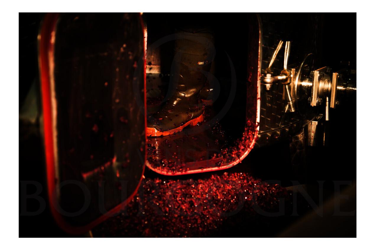 意大利葡萄酒对比法国,法国葡萄酒对比意大利葡萄酒