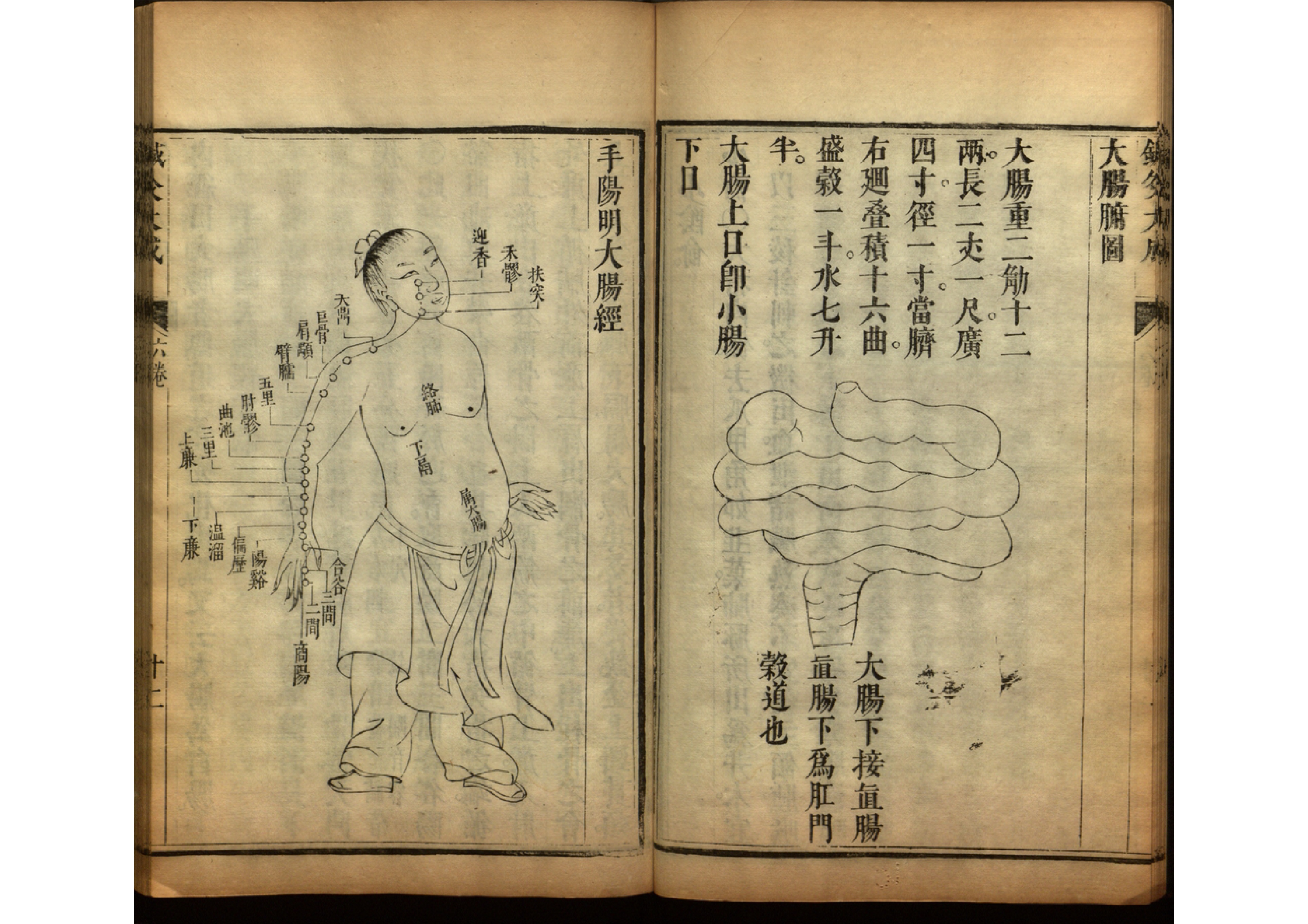 针灸大成古书图片,《针灸大成》古籍