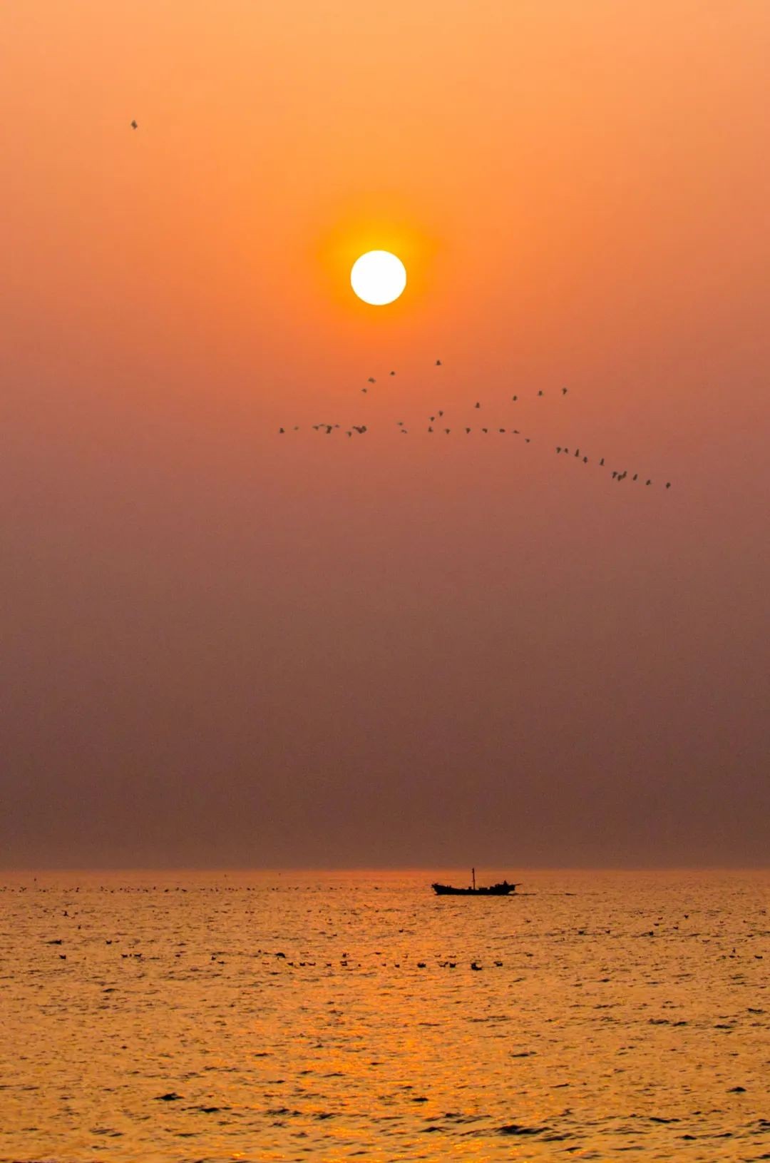 日照不值得去的地方,山东日照海边景点