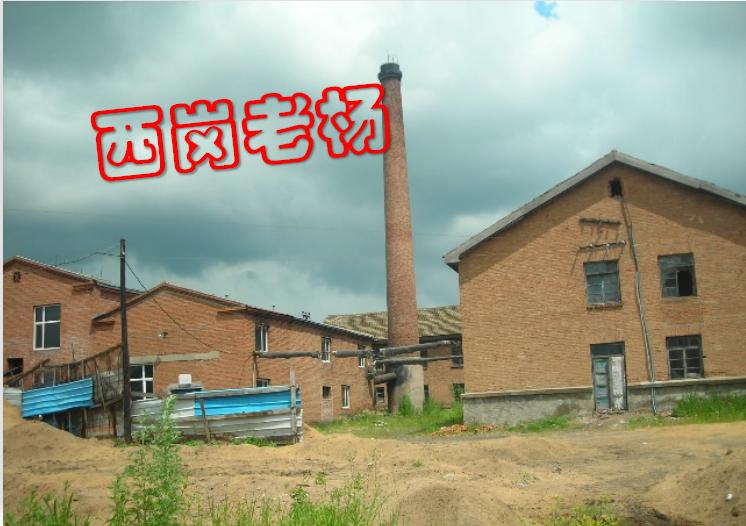 农垦北大荒知青故事,北大荒老故事