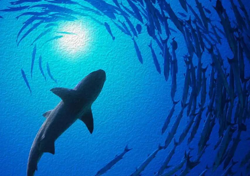 鏂板瀷鐥呮瘨鍙椿浜斿ぉ,鐥呮瘨鍙兘瀛樻椿浜斿ぉ