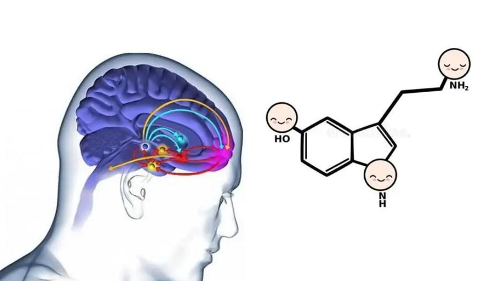 治疗阳痿缺哪种营养,年纪轻轻阳痿怎么治