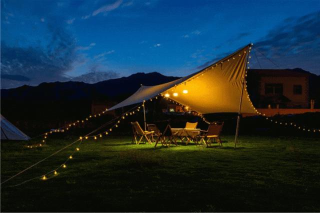 端午假期光明活动超精彩！音乐live、摘荔枝、包粽子……等你解锁！