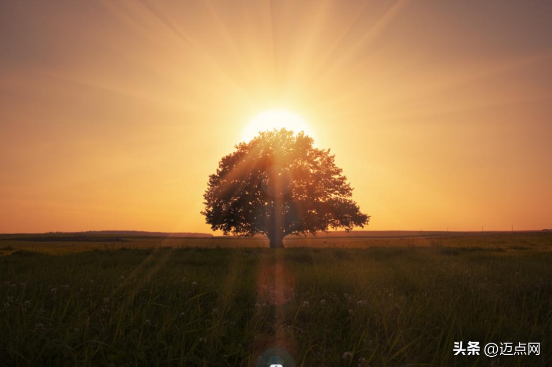 万科泊寓的盈利模式有哪些,万科泊寓未来发展前景