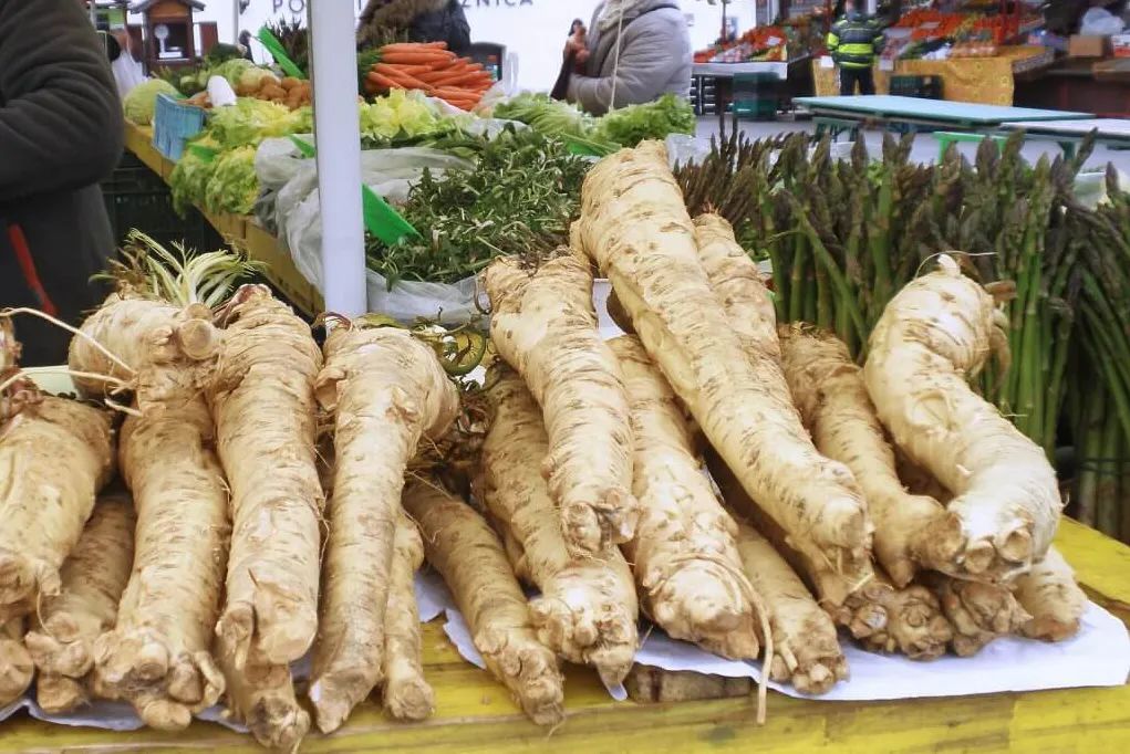 根类食物大全 (5种根菜类的食材)