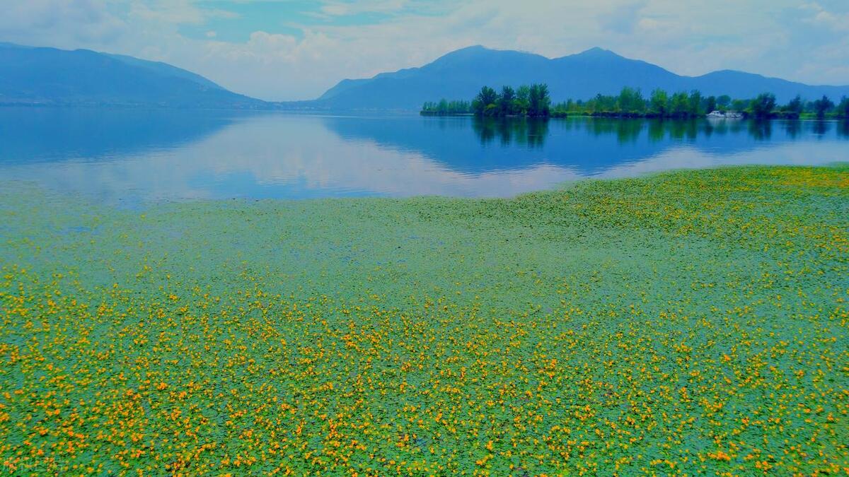 四川容易被忽视的市,四川最被低估的景区