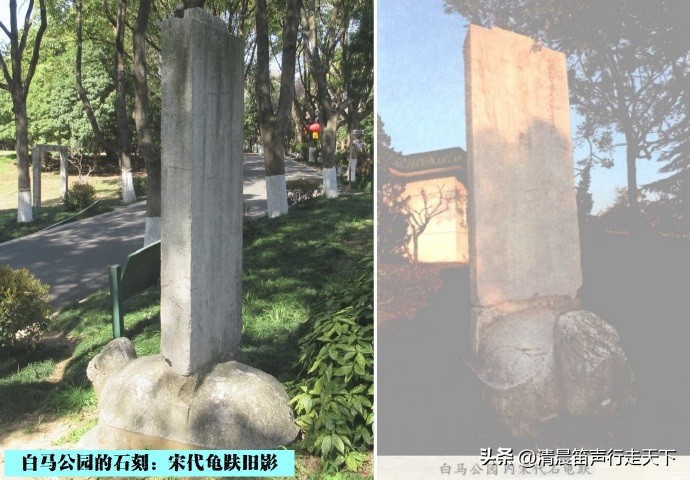 白马公园白马石刻朝代,公园石刻精品欣赏