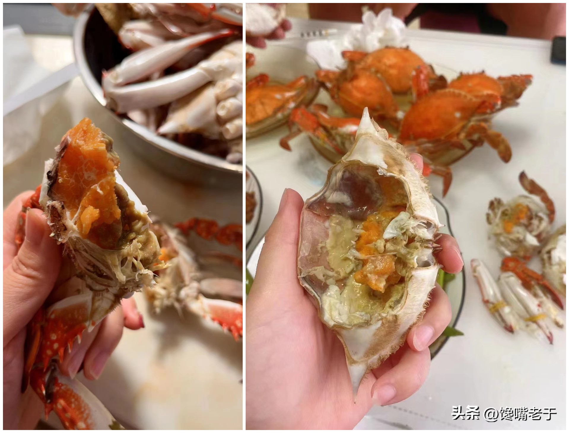 挑选螃蟹的秘籍大家学起来,买螃蟹的时候怎么挑肉和蟹黄多的