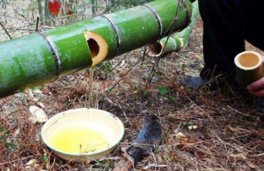 三种酒已被列入假酒名单,315曝光过的3类假酒清单