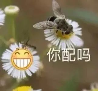 中国暴打日本人,中国鳗鱼咬人事件