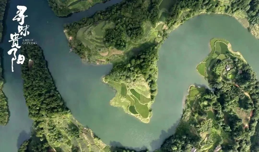 贵阳版“挖呀挖呀挖”来了～