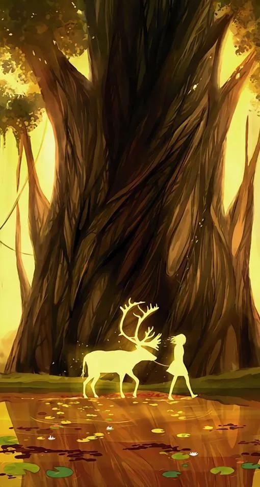 唯美手机壁纸高级感,唯美手机壁纸高清全面屏