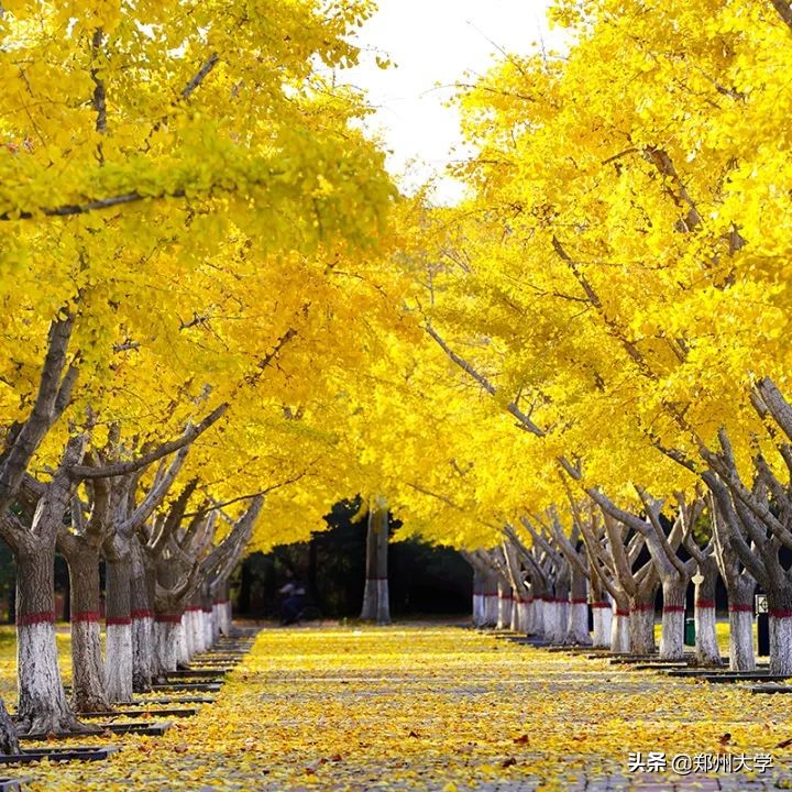 选择大学看哪些因素,选择大学优势专业的好处