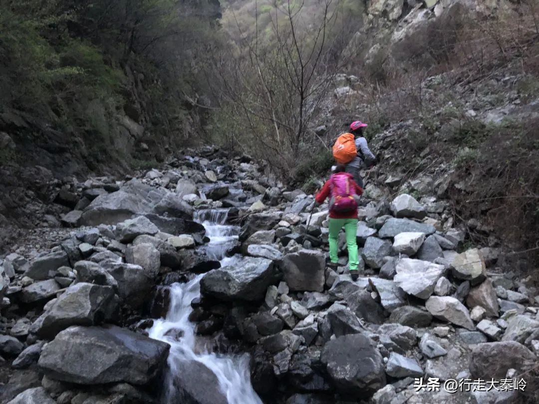 首阳山穿越大坪梁景色怎么样,大坪梁穿越到首阳山攻略