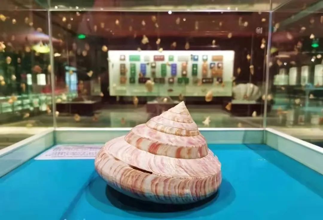 推门就是半个大唐！青岛这场大秀也太好看吧！