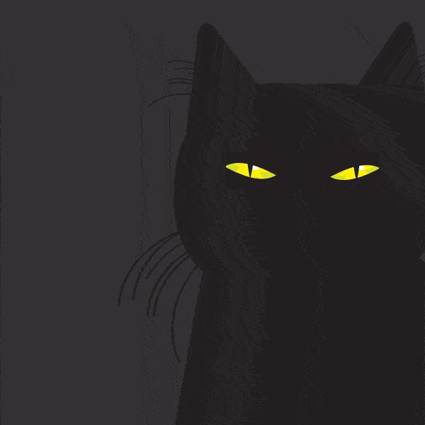 为什么猫咪上床前会舔毛,猫咪为什么上床声音那么大