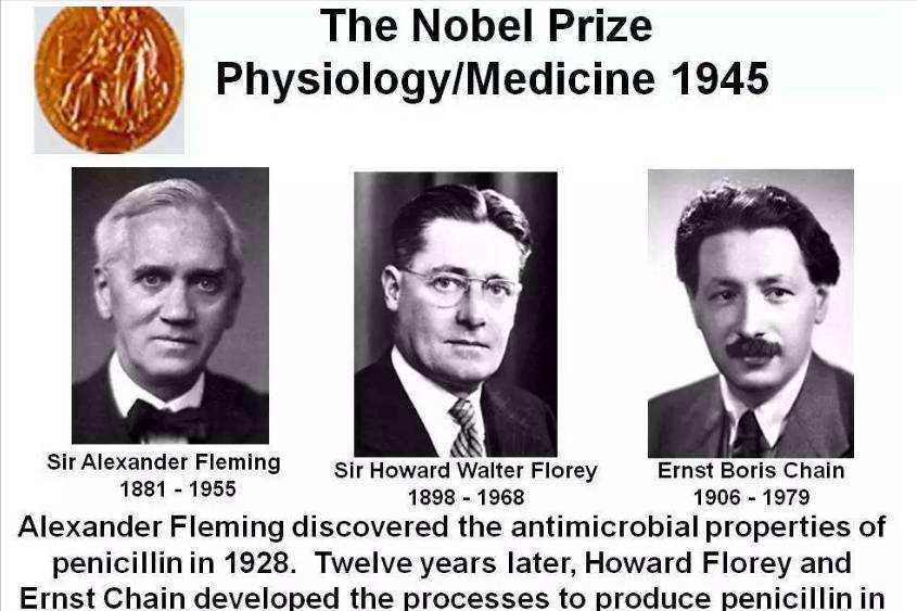 青霉素偶然发现给我们什么启发,青霉素的发现拯救无数生命
