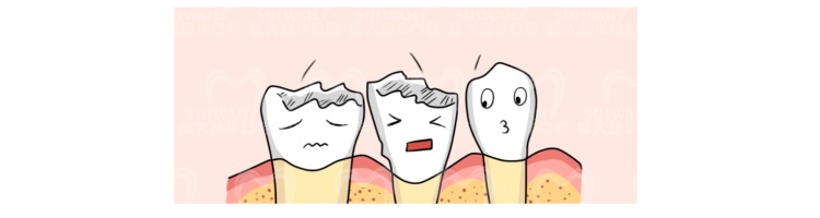 牙齿真的是被虫子吃掉的吗,牙齿是怎么进虫子的