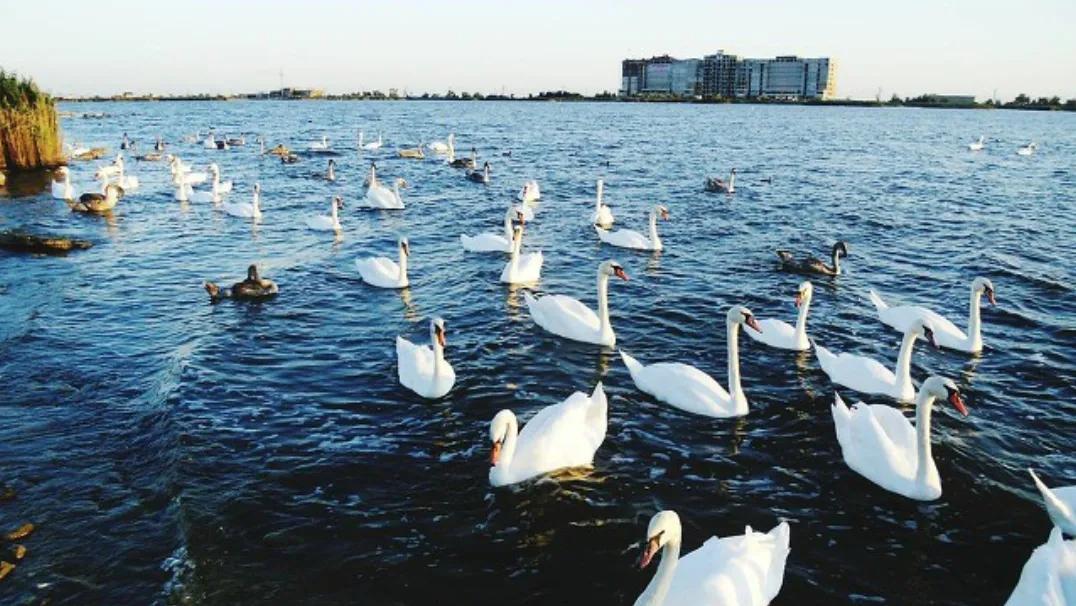 走丝绸之路，品丝路遗珠，寻西域36国（十三）塞外江南，库尔勒