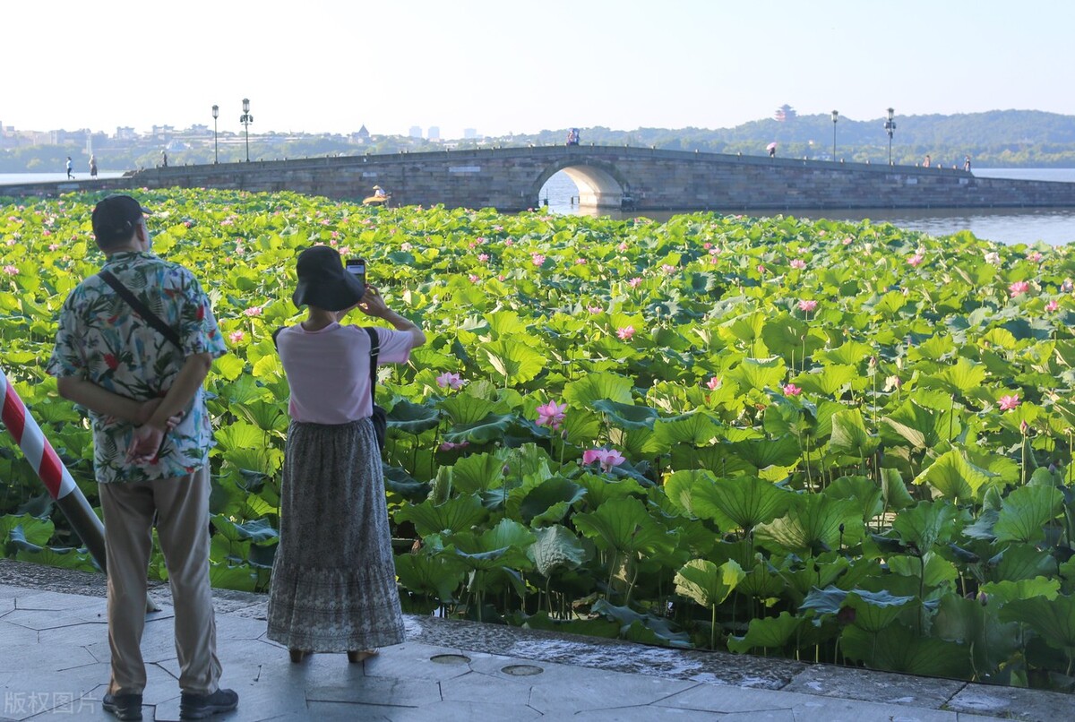 第一次逛西湖攻略,去西湖玩一定要知道的几件事