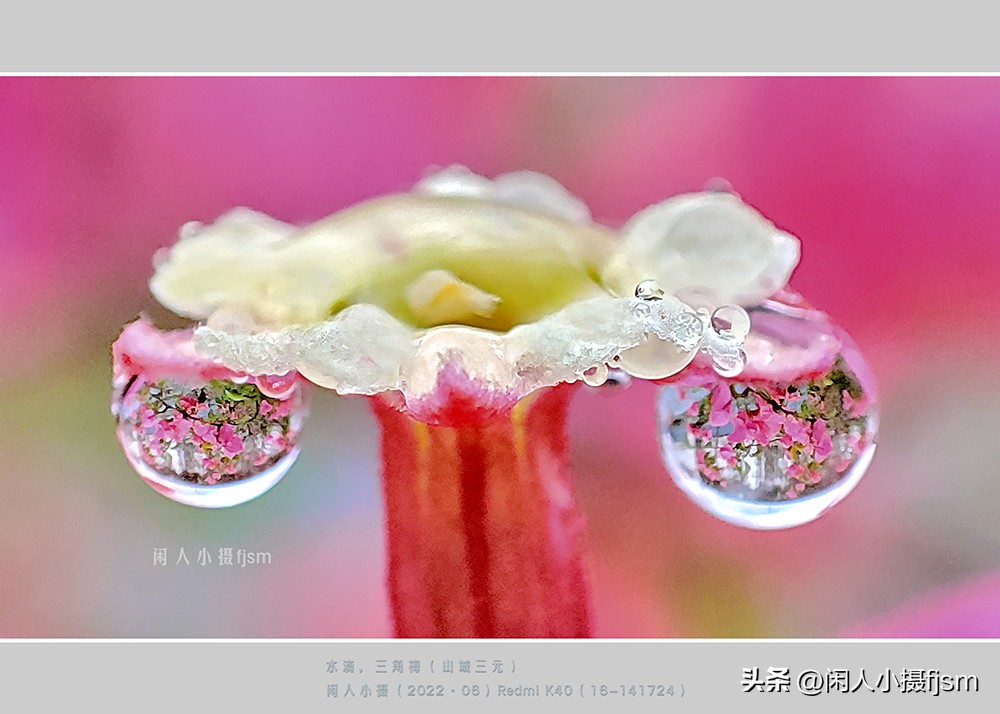 微距摄影就是近距离拍摄微小物体,微距摄影和近距离摄影有区别吗