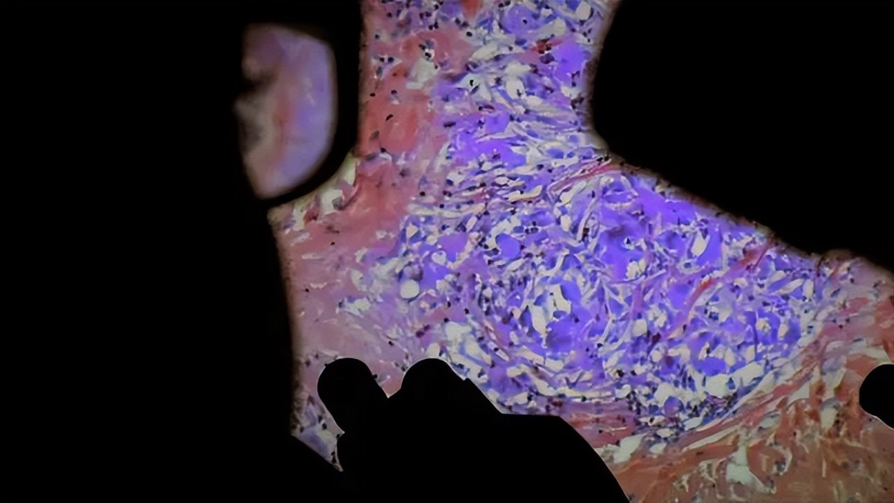 观看收藏电影,收藏观看记录