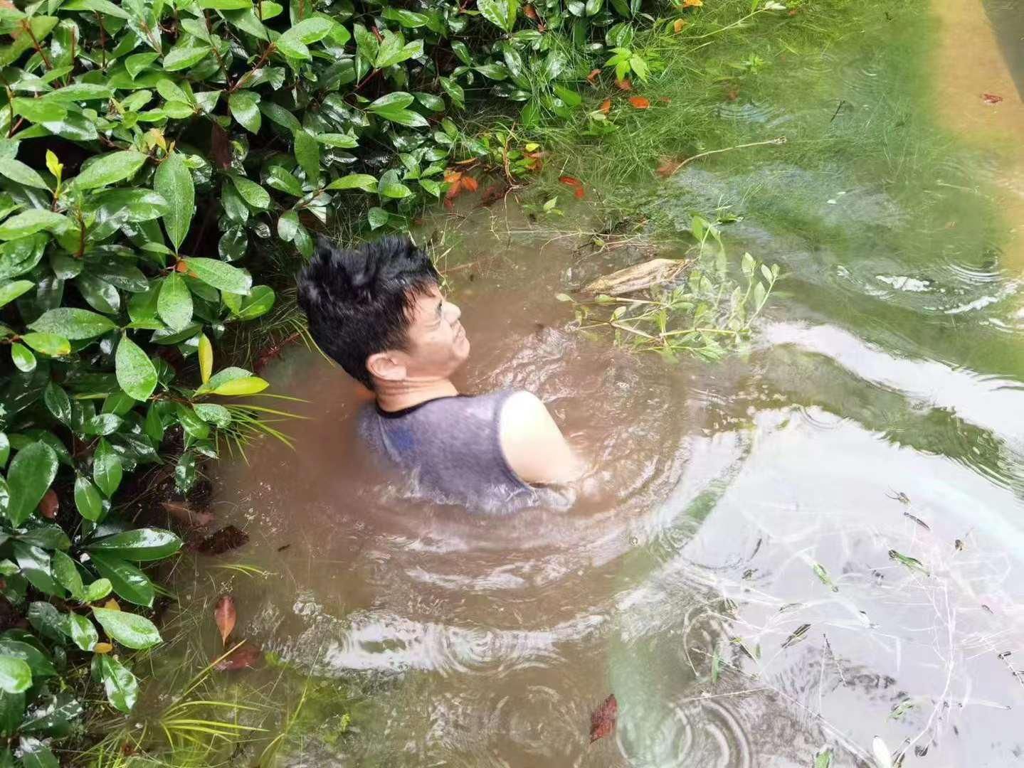 物业大风暴雨安全风险预案,物业公司防台风防汛工作开展情况